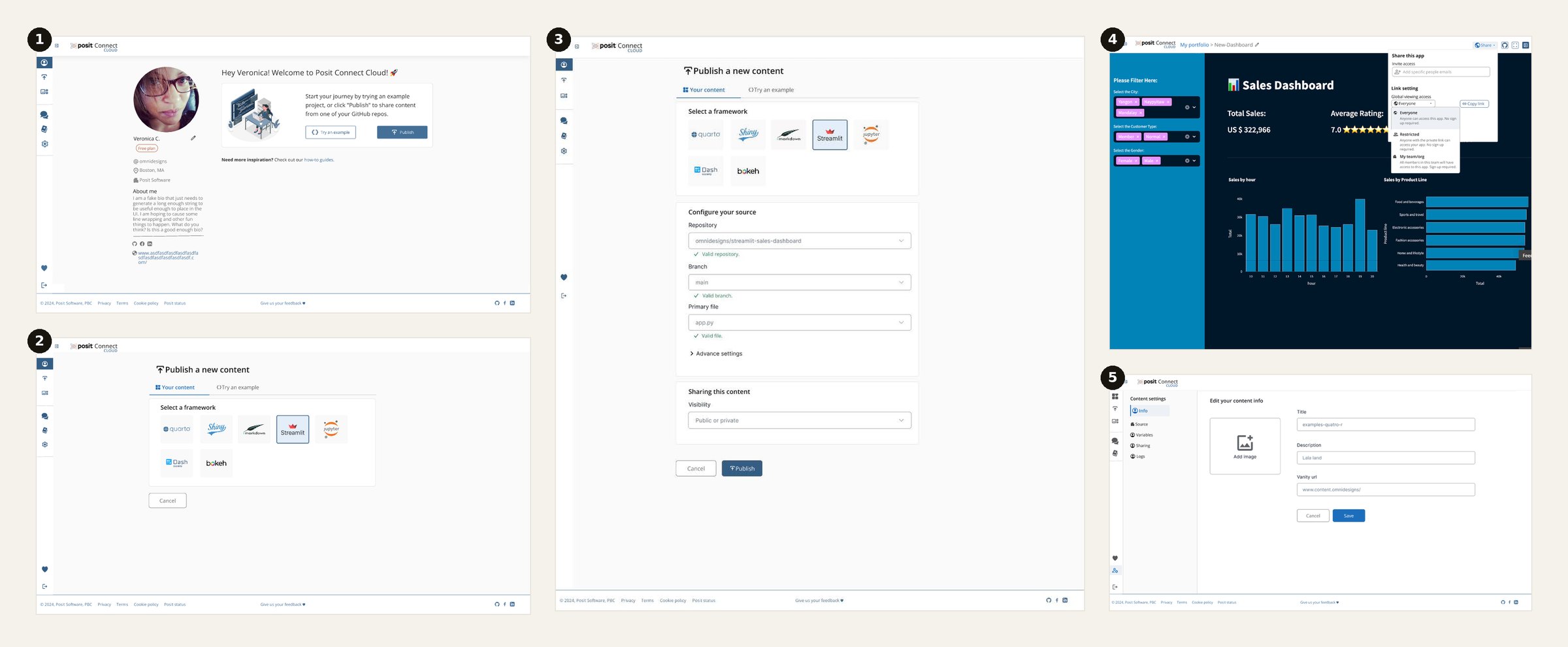 Final Connect Cloud flow: welcome and portfolio page, framework selection, source configuration, share and link settings, and content settings